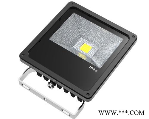 供应深圳led投光灯、鳞片泛光灯生产**30瓦175块/PCS图2