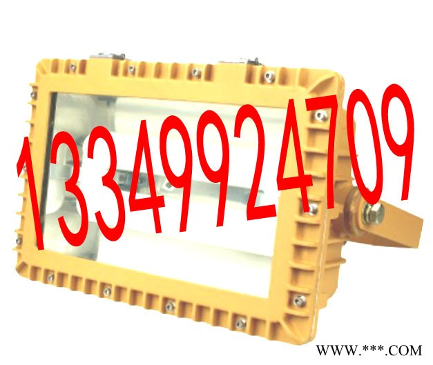 供应雷科SBD1109-YQL防爆泛光灯图1
