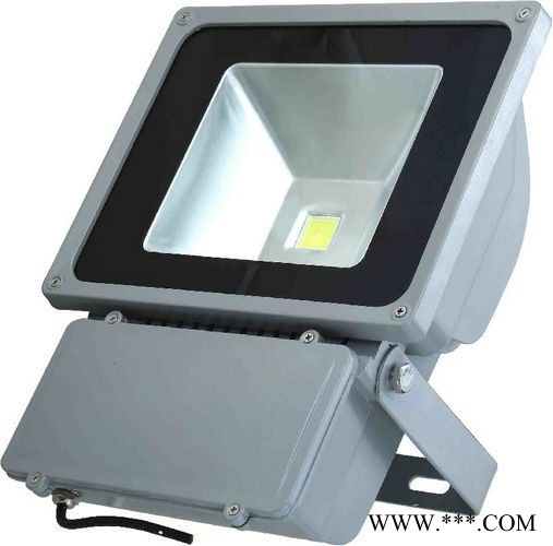 芷艺 YM-TG-010/050A   LED投光灯