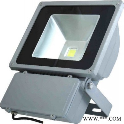芷艺 YM-TG-010/050A   LED投光灯