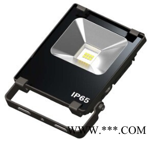 芷艺 YM-TG-010/050A   LED投光灯图3