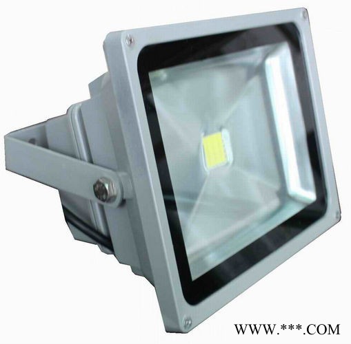 芷艺 YM-TG-010/050A   LED投光灯图2