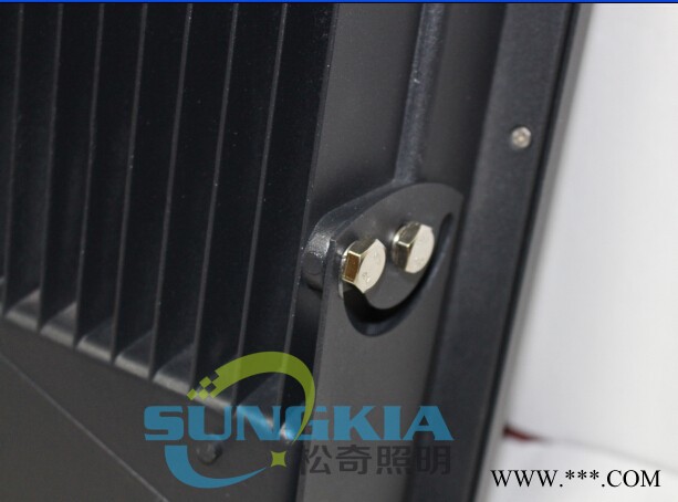 SK卡扣投光灯SK-TG2-03-100W投射灯图1