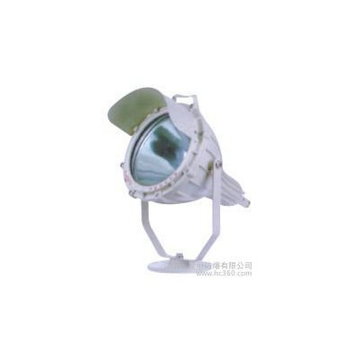 供应新黎明防爆BTD400防爆投光灯-圆形