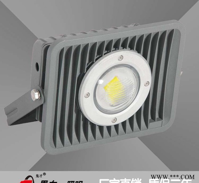 恩东照明 LED投光灯 户外灯广场灯投射灯泛光灯30W50W图1