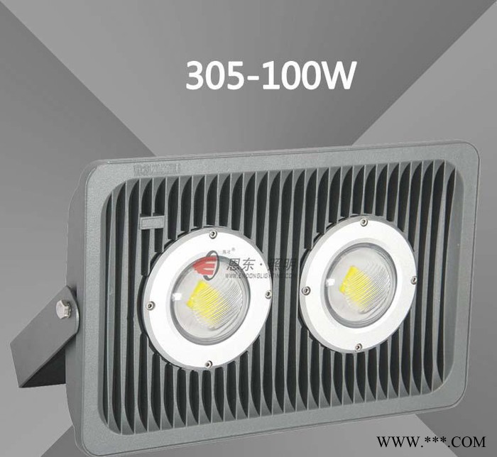 恩东照明 LED投光灯 户外灯广场灯投射灯泛光灯30W50W图2