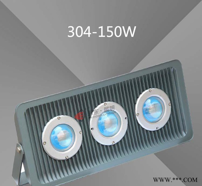 恩东照明 LED投光灯 户外灯广场灯投射灯泛光灯30W50W图3
