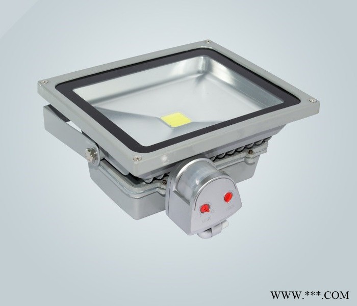 提供高质量低价泛光灯带感应器低瓦数10瓦IP65防护等级图3