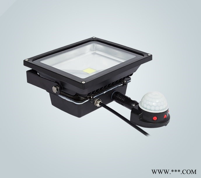 提供高质量低价泛光灯带感应器低瓦数10瓦IP65防护等级图2