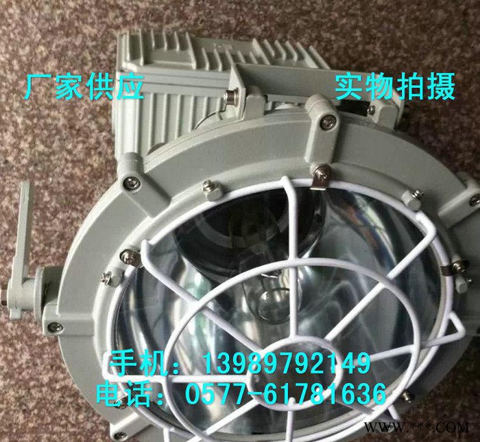 防爆投光灯 BSD4-L400Z防爆金卤灯图2