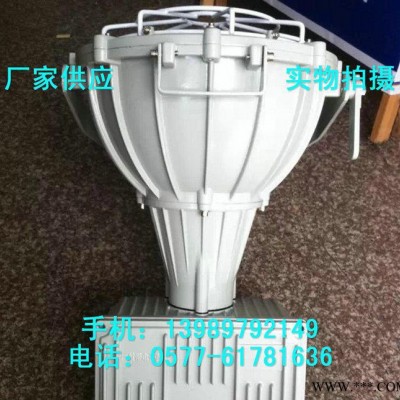 防爆投光灯 BSD4-L400Z防爆金卤灯