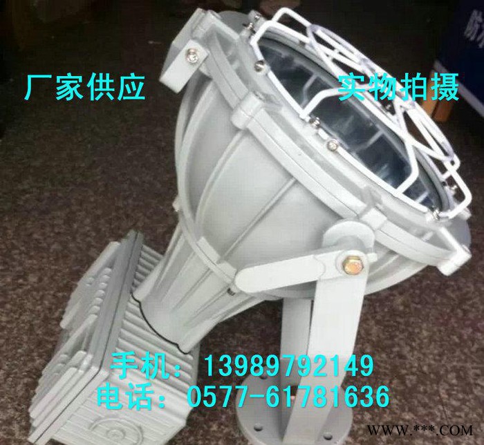 防爆投光灯 BSD4-L400Z防爆金卤灯图3