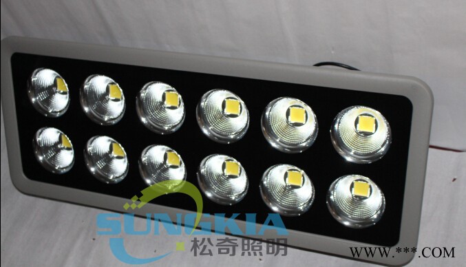 SK聚光款投光灯ledSK-TG1-11-500W投射灯图2