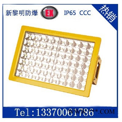 厂家供应新黎明BTD97 BLED9101LED防爆泛光灯