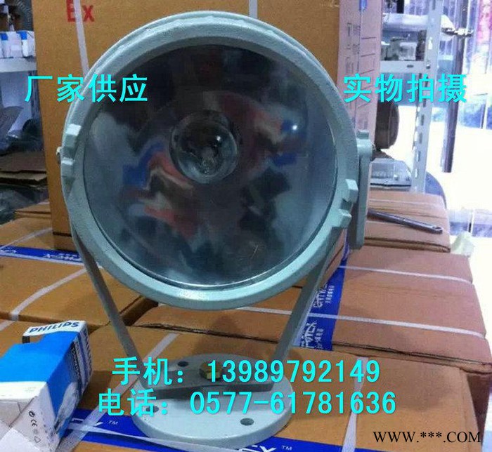 防爆投光灯 BAT96-L400Z防爆金卤灯图3