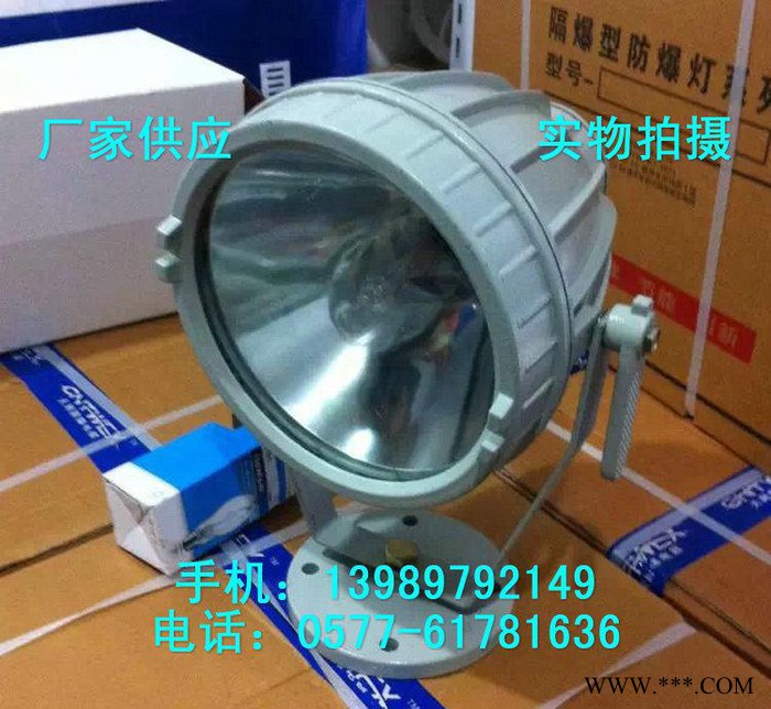 防爆投光灯 BAT96-L400Z防爆金卤灯图2