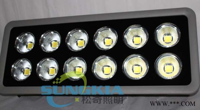 SK聚光款LED投光灯SK-TG1-11-500W投射灯图1