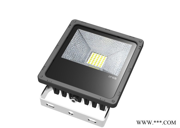 GTT/金树林照明 LED投光灯30w 户外IP65灯防水图1