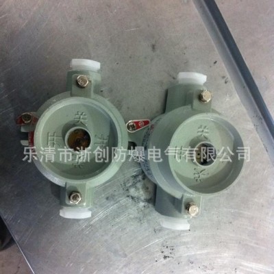 BZK8038防爆防腐控制箱（操作柱防爆内场强光泛光灯BTD8120图片