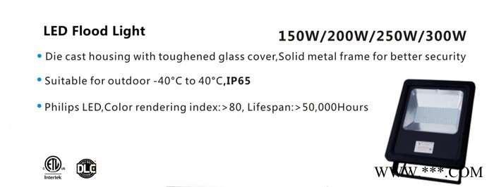 UL认证、ETL认证和CE认证LED 300W Floodlight ,泛光灯图2