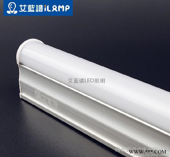 ** LED日光灯T5灯管 一体化超亮日光管工程经济款 4W 0.3米图1