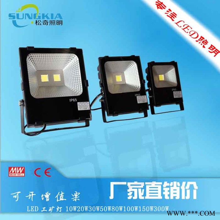SK厂家批发户外照明专用TG-F13-50W led投光灯图片图1