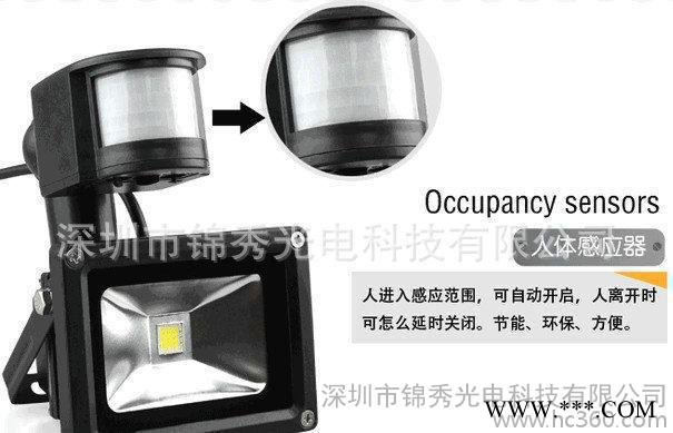 可定制led户外投光灯JX-TG020W-001 感应led图2