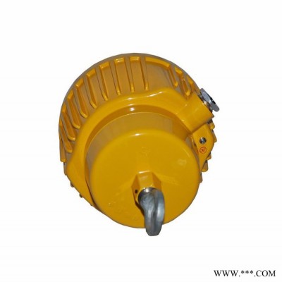 信远GBP5502_防爆平台灯_电厂灯_加油站灯_泛光灯_原型号BPC8730