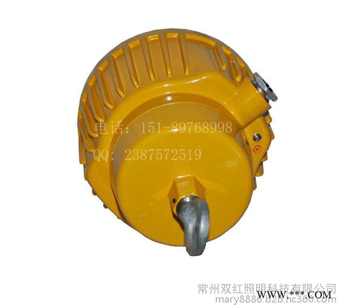 海洋王BPC8730防爆平台灯  强光防爆泛光灯 防爆平台灯图3