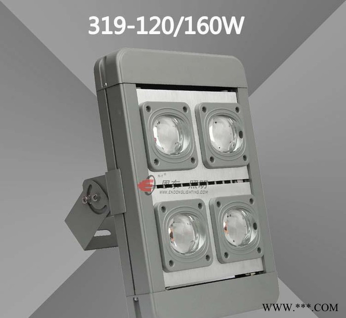 恩东照明 LED投光灯 户外灯广场灯投射灯泛光灯 80W 1图2
