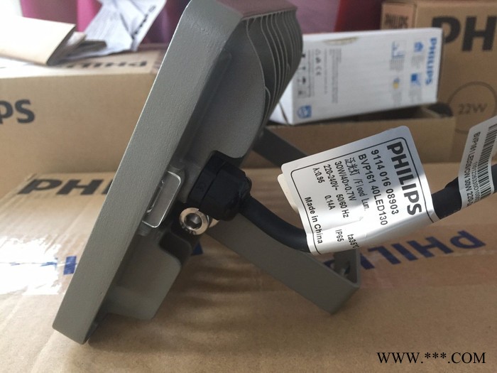 飞利浦LED投光灯BVP161 30W50W70W户外防水泛光灯投射灯广告灯图2