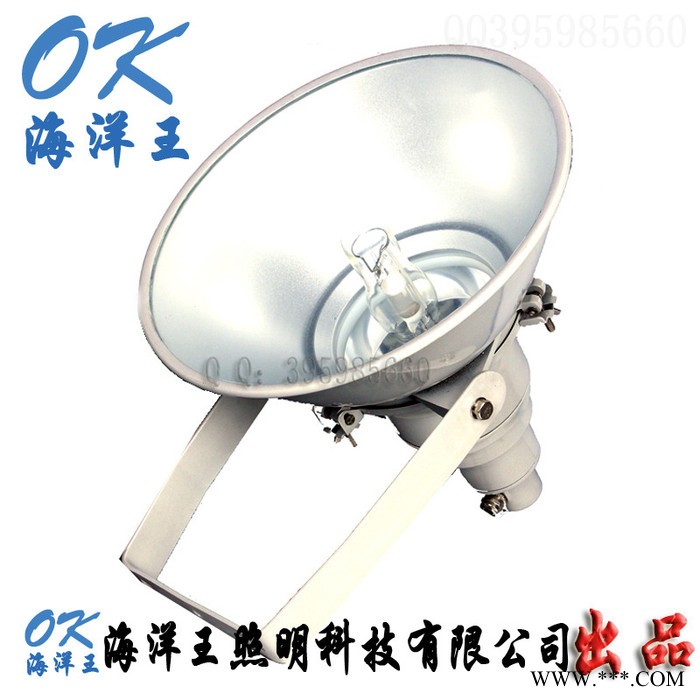 OK海洋王NTC9210防震型投光灯 华荣GT102设施防震图3