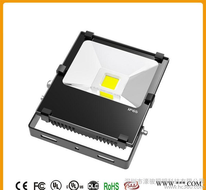 50WLED投光灯户外照明广告灯LED泛光灯广场照明灯图2