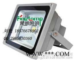 LED投光灯、led聚光灯、led泛光灯、led照明灯、led轮廓灯、led庭院灯、led草坪灯、led公园灯
