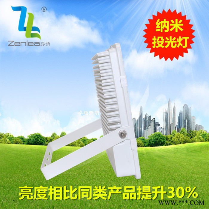 Zenlea珍领ZL-FL100-G LED投光灯150W 聚光贴片泛光灯 户外纳米投射灯 室外防水景观灯图2