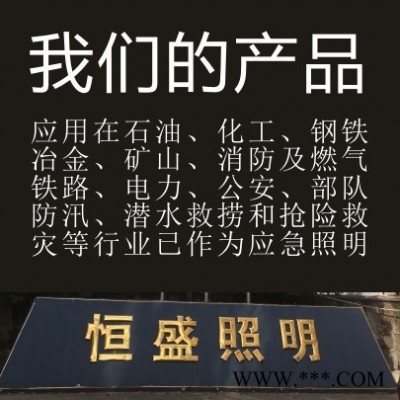 BFC8110/HNLED防爆泛光灯温州恒盛照明销售