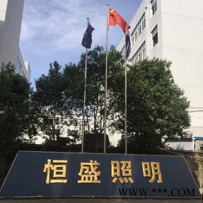 BFC8110/HNLED防爆泛光灯温州恒盛照明销售图5