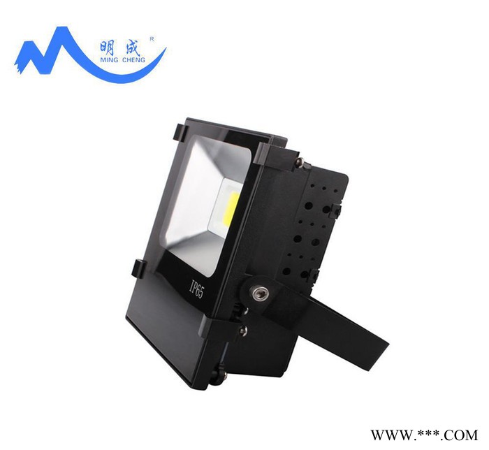 10w LED足功率投光灯 LED泛光灯 户外防水LED灯 大功率LED投光图3