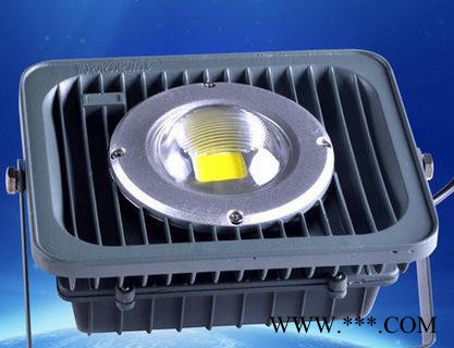 直销30W户外LED防水集成投光灯泛光灯投射灯工程质量保证图2