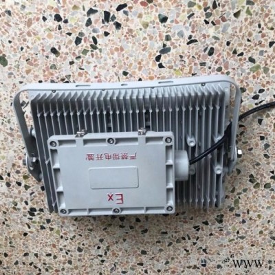 亚辉防爆CCD97 LED防爆泛光灯
