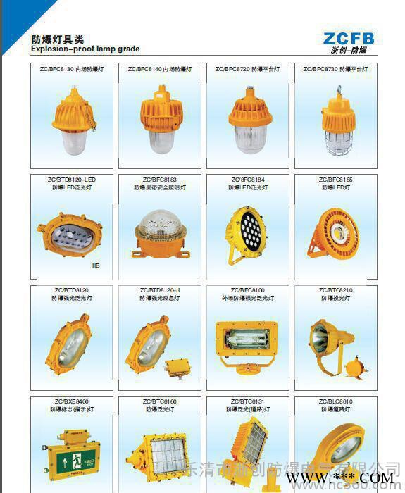 ZC/BKK防爆仪表盒防爆泛光灯防爆投光灯BTD/250W BAD防爆防腐灯厂图3