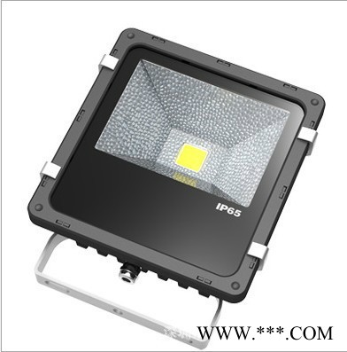 谐光LED投光灯70W报价图4