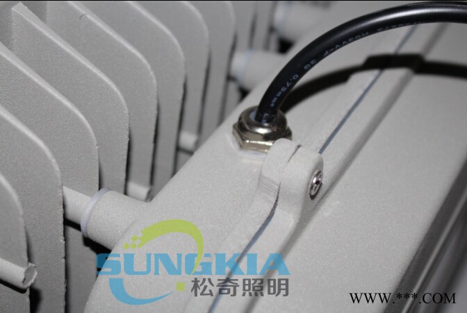 SK聚光款LED投光灯SK-TG1-01-50W投射灯图1