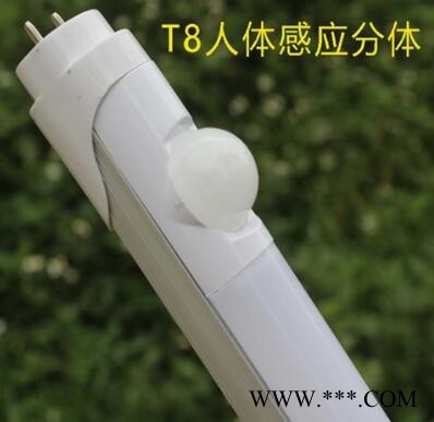 袁氏T5/T8 LED日光灯 1.2MI0.9M0.6M日光灯批发厂家 led节能灯管批发  可定制 led日光灯图3