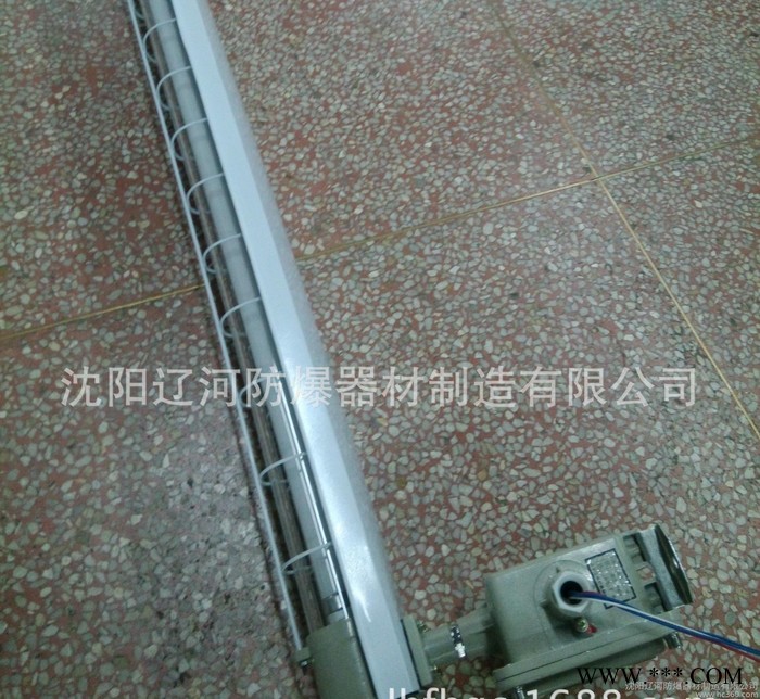 防爆双管荧光灯 LED灯管 沈阳辽河 防爆荧光灯 防爆灯图3