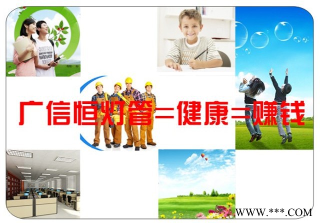 供应广信恒GXH-T8-230VLED日光灯管图2