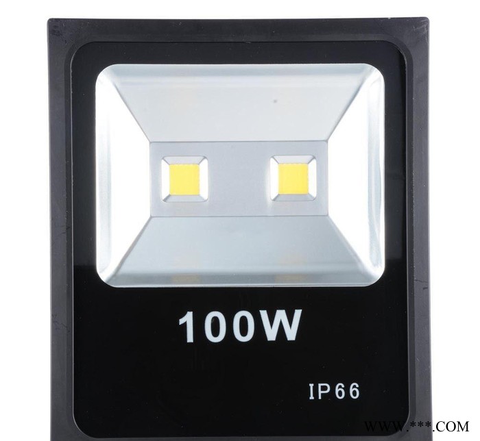 LED投光灯100W，防水IP65图1