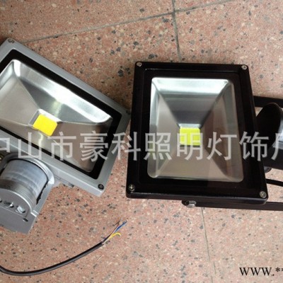 豪科HK-FGD-20W-PIR投射灯 20WLED红外线人体感应泛光灯 防水耐腐蚀 LED集成灯珠光源 低能耗长寿命