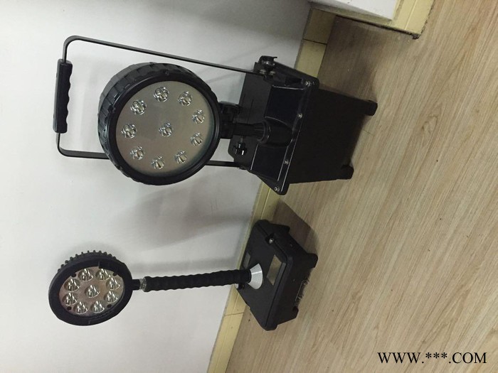 BAD502C防爆强光工作灯 BAD502C-30防爆泛光灯图2