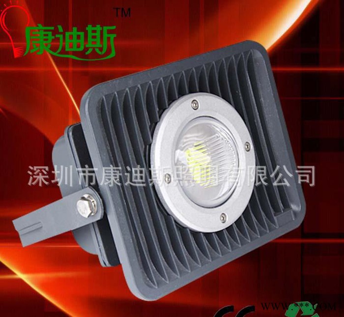康迪斯LED投光灯 户外灯 泛光灯 隧道灯 等30W50W120W图1
